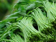 Tin tức - Cách phát hiện rau xanh ngậm thuốc "kích phọt"