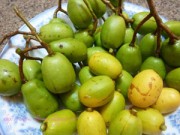 Nhà đẹp - Trồng cóc Thái sai quả trong chậu ngay ở nhà phố