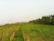 Tin tức - Lạ: Dịch vụ cho thuê đất trồng rau sạch ở HN