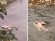 Tin tức - Thi thể phụ nữ không quần áo, tay bị trói nổi dưới suối