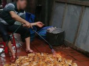 Tin tức - Tác giả bức ảnh “gà mau về với ông bà” lên tiếng