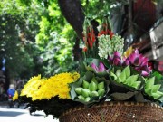 Tin tức - Hà Nội trưa chiều hửng nắng, đêm có mưa