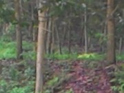 Tin tức - Tìm chồng trong đêm, thiếu phụ bị chú hiếp dâm trên đồi vắng