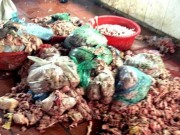 Tin tức - Thực phẩm bẩn: 'Chết' vì thịt lợn giá rẻ như cho