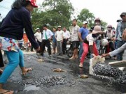 Tin tức - Phản đối ô nhiễm, dân đổ tôm hùm chết ra quốc lộ