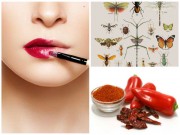 Làm đẹp - Tường tận về son môi không phải ai cũng biết