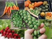 Nhà đẹp - Top 5 loại củ, quả tí hon “làm mưa làm gió” trên thị trường