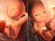 Bà bầu - "Bật mí" những bí ẩn về thai nhi khiến mẹ thỏa trí tò mò