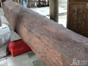Nhà đẹp - Trung Quốc bán cây thuộc họ gỗ sưa Việt Nam với giá 700 tỷ