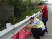 Tin tức - Cảnh sát giao thông đỡ đẻ cho sản phụ trên đường cao tốc