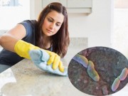 Nhà đẹp - Dùng khăn diệt trùng lau bếp, loại 99% vi khuẩn đường ruột