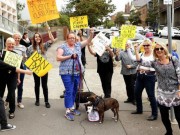 Tin tức - Thanh niên đánh tàn nhẫn 9 con chó gây phẫn nộ