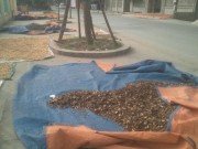 Tin tức - Đột kích 'siêu thị thần dược', đánh cược tính mạng với lang chợ