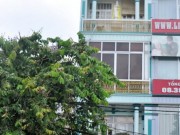 Tin tức - Sát hại vợ cũ vì không được đón con về thăm nhà