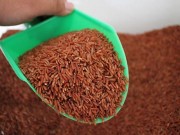Sức khỏe - Gạo lứt muối mè: Biết cách ăn mới tốt