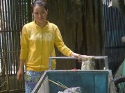 Tin tức - CA Tân Bình bác đơn bà Ngọt, sẽ giao trả 5 triệu yen cho chị ve chai