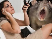 Sức khỏe - Kinh hoàng phát hiện đồ trang điểm chứa phân chuột, nước tiểu
