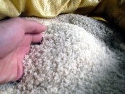 Tin tức - Sẽ xử lý nghiêm nếu có gạo giả xuất hiện ở Việt Nam