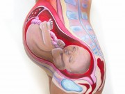 Bà bầu - Xem rõ vị trí nằm của thai nhi qua ảnh "bodypainting"