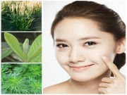 Làm đẹp - Mẹo hay: Tuyệt chiêu làm đẹp từ cây cỏ
