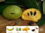 Nhà đẹp - Nhỏ nước miếng với quả xoài hột na, vị chuối