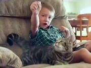 Clip Eva - Mèo tấn công chó dữ cứu chủ