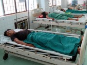 Sức khỏe - Ăn nấm độc, 5 người bị biến chứng nặng