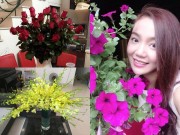 Nhà đẹp - Ca sĩ Ngọc Anh trổ tài cắm hoa tại gia