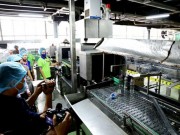Tin tức - Tân Hiệp Phát bị thanh tra Bộ Y tế phạt 25 triệu đồng