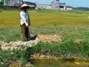 Tin tức - Đi móc cua, bé trai bị rắn cắn tử vong