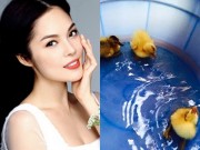 Làng sao - Dương Cẩm Lynh bất ngờ khi trứng vịt lộn "tự nở"