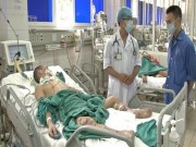 Tin tức - Nhập viện vì ăn tiết canh vịt nhiễm liên cầu lợn