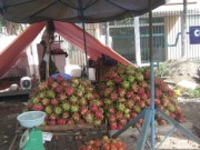 Mua sắm - Giá cả - Thanh long 10.000 đồng/3kg, đu đủ bị đốn hàng loạt