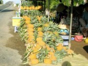 Mua sắm - Giá cả - Nông sản giá rẻ tràn ra quốc lộ