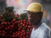 Tin tức - Dân Bắc Giang đội nắng, dầm mưa đi bán vải