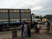 Tin tức - 4 người trong gia đình chết thảm do xe tải lấn đường