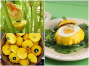 Nhà đẹp - Một tháng trồng bí đĩa bay ngon mắt, sướng miệng