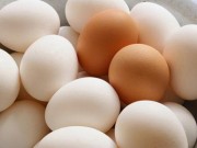 Sức khỏe - Tám sai lầm ăn uống mà bạn không biết