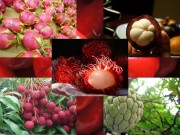 Nhà đẹp - 15 loại quả trồng nhiều ở Việt Nam nhưng nước ngoài chẳng có