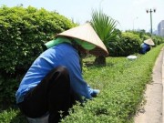 Tin tức - Nắng nóng 40 độ, người dân dễ bị say nắng, sốc nhiệt, đột quỵ