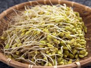 Bếp Eva - Cách làm giá đỗ tương tại nhà