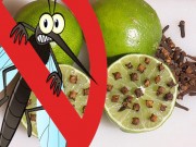 Nhà đẹp - Các bí kíp tránh muỗi đốt đơn giản, tự nhiên, an toàn