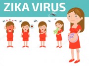 Bà bầu - Tất cả những điều về virus Zika mẹ bầu cần biết