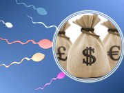 Chuẩn bị mang thai - Mua bán tinh trùng “chui” và những nguy hại khó lường