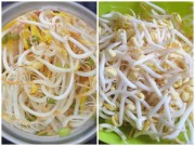 Bếp Eva - Mẹo phân biệt giá đỗ sạch với giá đỗ có chất kích thích tăng trưởng