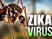 Tin tức - Ngoài ảnh hưởng não, người bệnh có thể bị liệt do virus Zika
