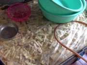 Tin tức - Hãi hùng với 40 tấn măng hôi thối, có dòi