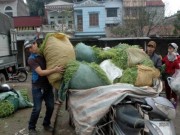 Mua sắm - Giá cả - Rau an toàn không kiểm soát chặt, 20 năm chưa có ai ngộ độc!