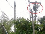 Tin tức - Hi hữu: Cúp điện nhưng 1 công nhân vẫn bị điện giật chết