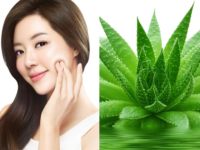 8 cách trị da nhăn nheo đơn giản mà hiệu quả từ lô hội